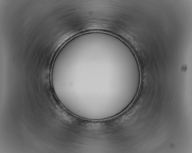 X0000091071121200708201403