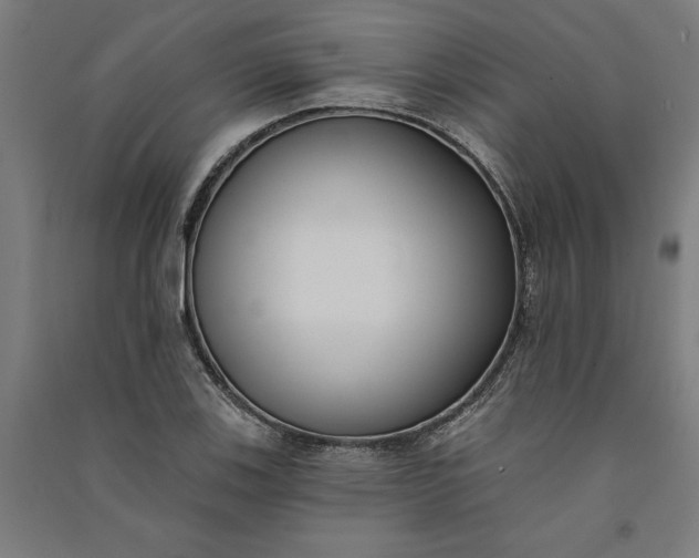 X0000091071123200708201403