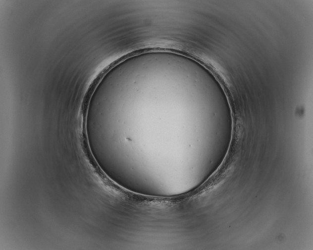 X0000091071125200708201403