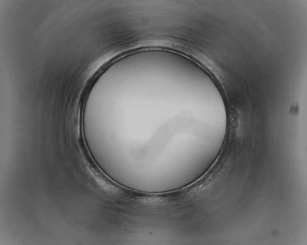 X0000091071127200708201403