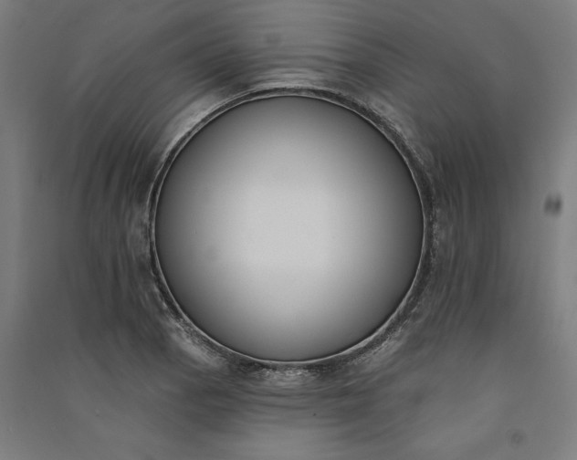 X0000091071129200708201403