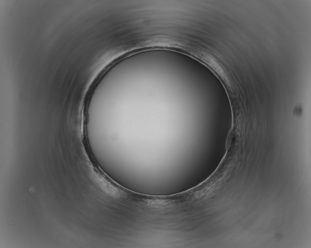 X0000091071132200708201403