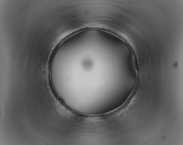 X0000091071133200708201403