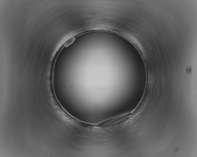 X0000091071138200708201403