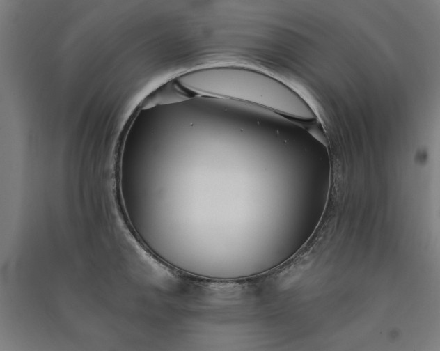 X0000091071142200708201403