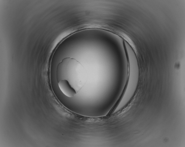 X0000091071146200708201403