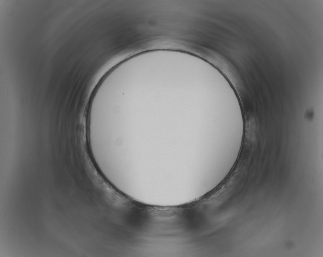 X0000091071150200708201403