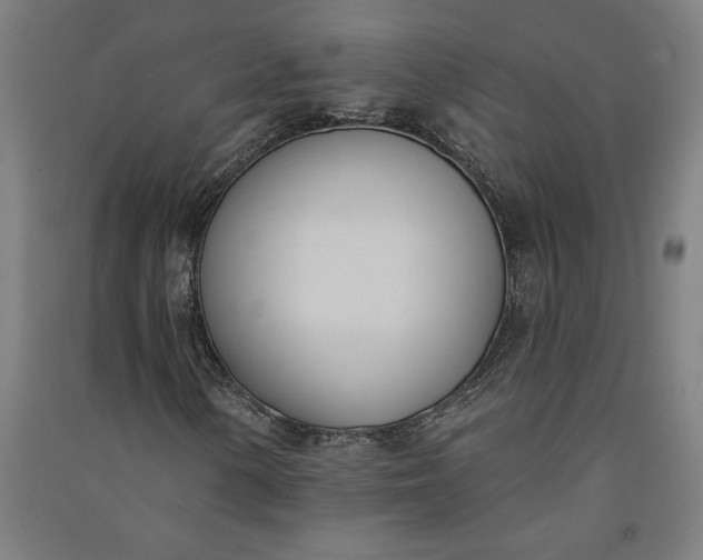 X0000091071154200708201403