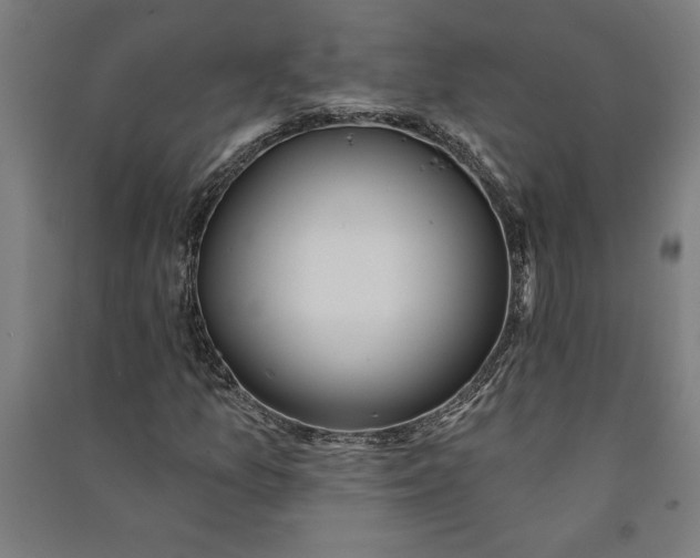 X0000091071157200708201403