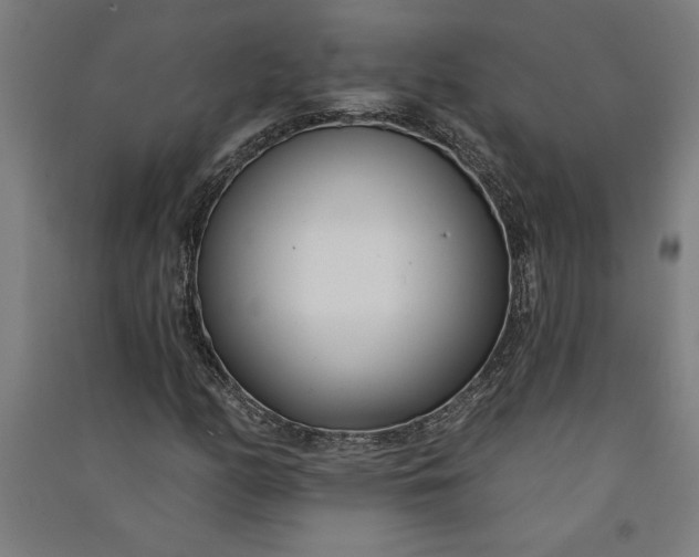 X0000091071158200708201403