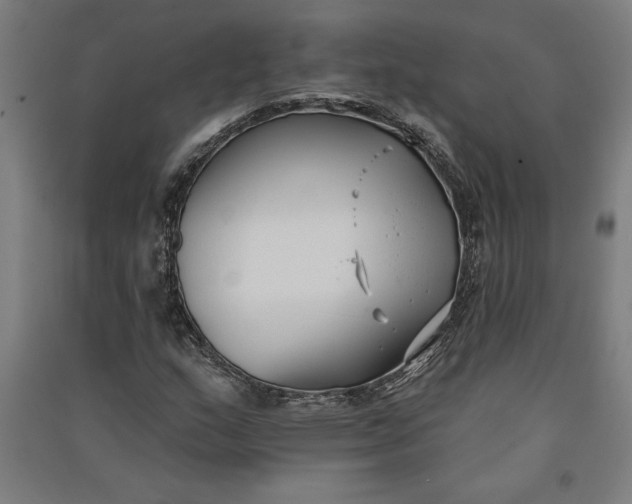 X0000091071159200708201403