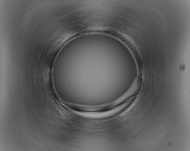 X0000091071161200708201403