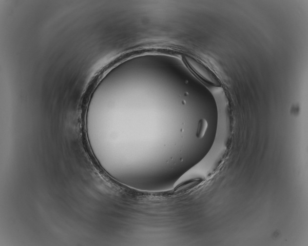 X0000091071164200708201403