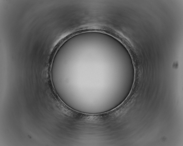 X0000091071166200708201403