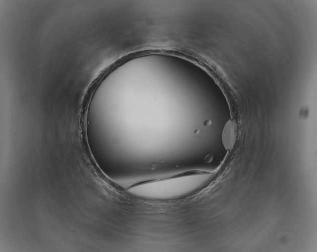 X0000091071168200708201403