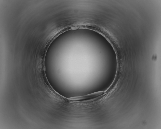 X0000091071169200708201403