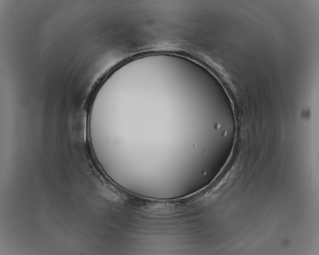 X0000091071171200708201403