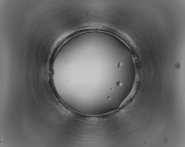 X0000091071172200708201403