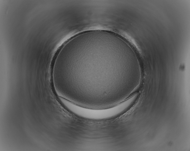 X0000091071173200708201403