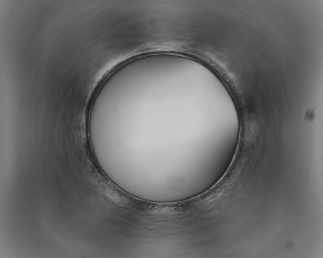 X0000091071174200708201402