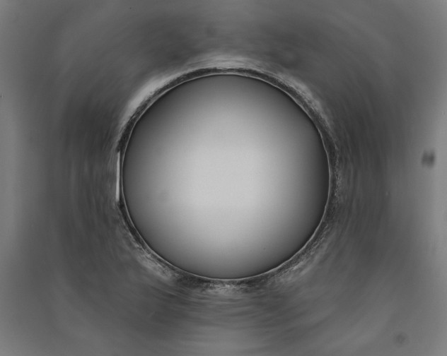 X0000091071175200708201402