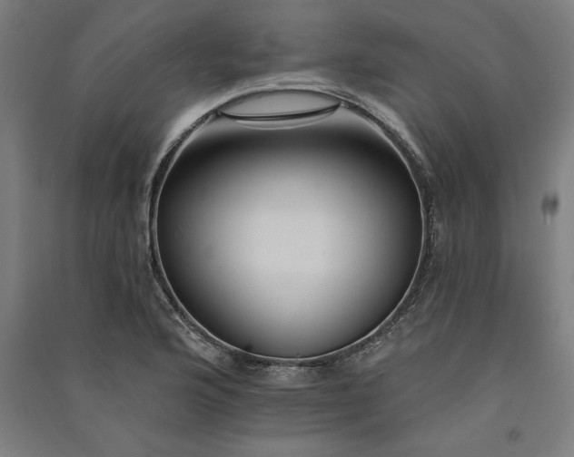 X0000091071176200708201402