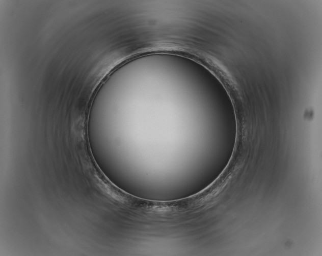 X0000091071177200708201402