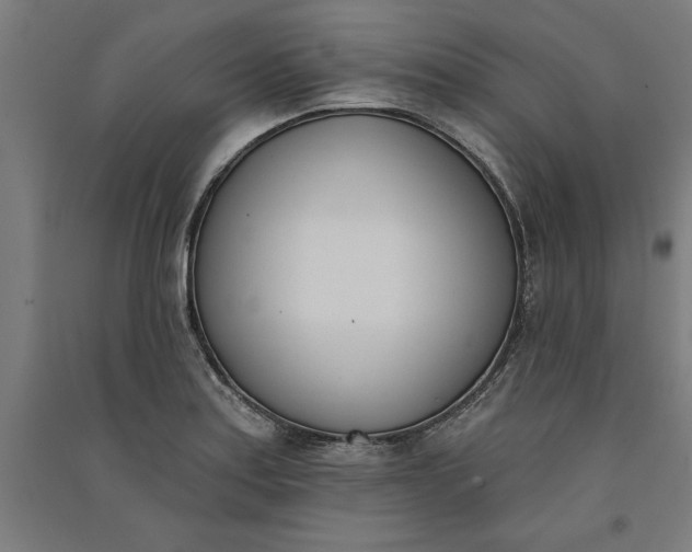 X0000091071179200708201402