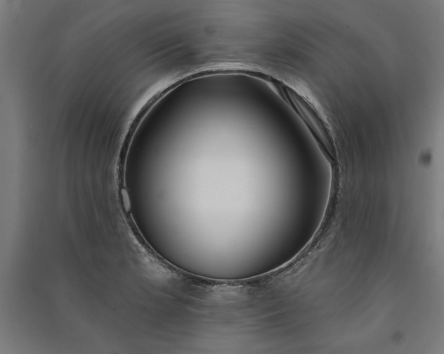 X0000091071181200708201402