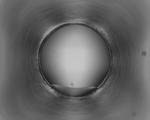 X0000091071184200708201402