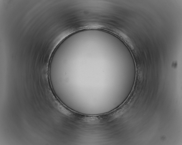 X0000091071186200708201402