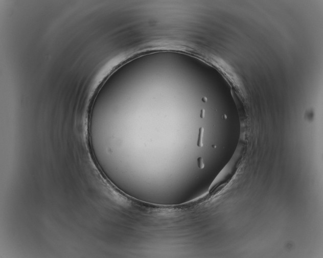 X0000091071188200708201402