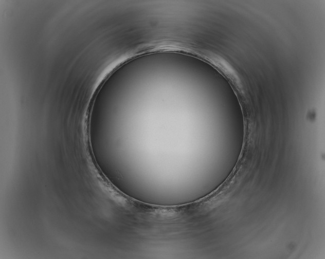 X0000091071190200708201402