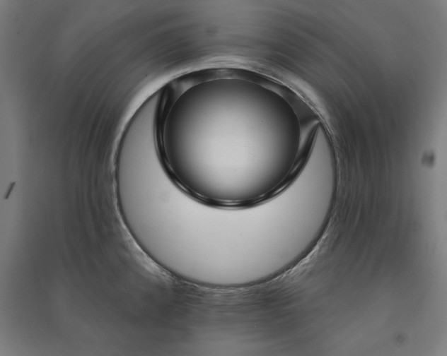 X0000091071192200708201402