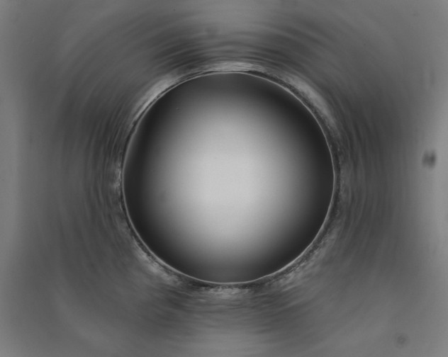 X0000091071193200708201402