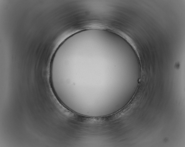 X0000091071195200708201402