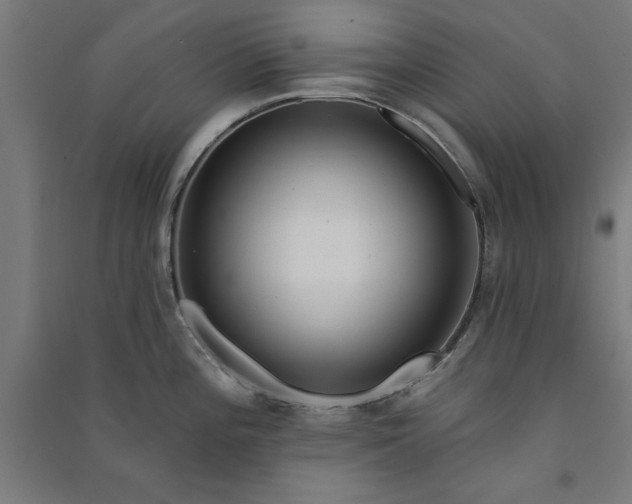 X0000091071196200708201402