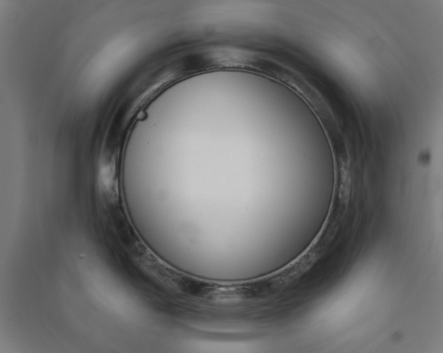 X0000091071198200708201402