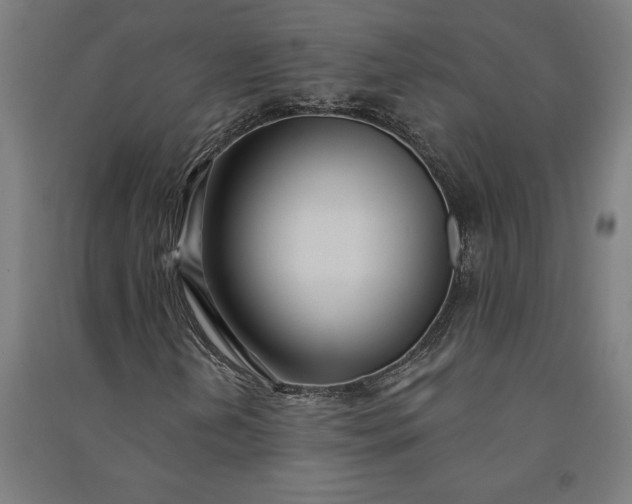 X0000091071202200708201401