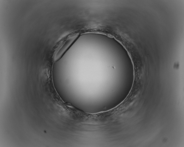 X0000091071206200708201401