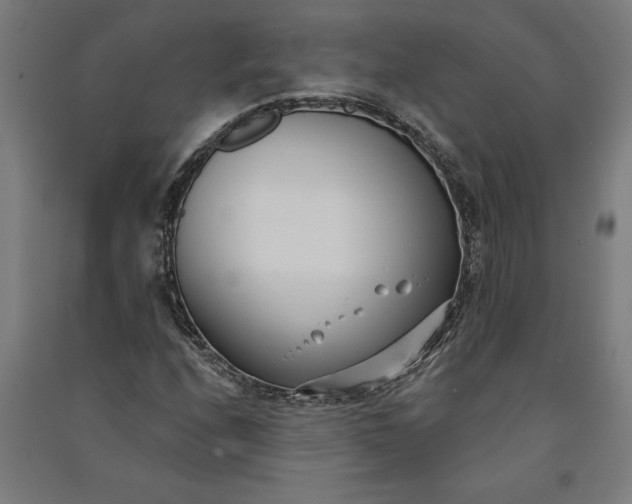 X0000091071208200708201401