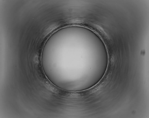 X0000091071209200708201401