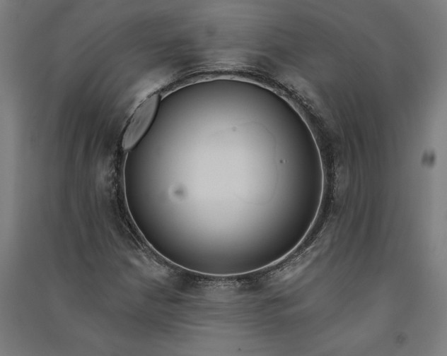 X0000091071210200708201401