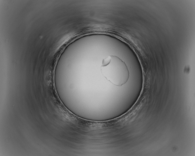 X0000091071211200708201401