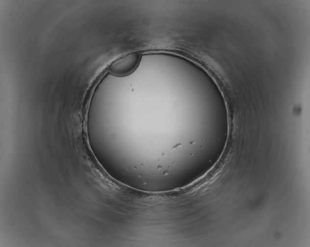 X0000091071212200708201401