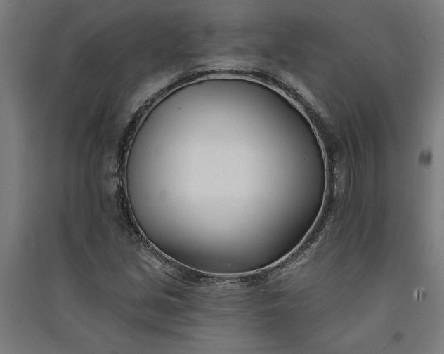 X0000091071213200708201401