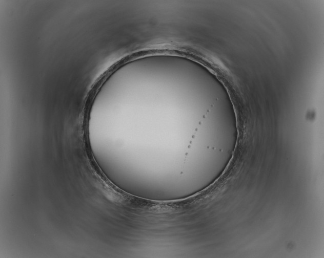 X0000091071216200708201402