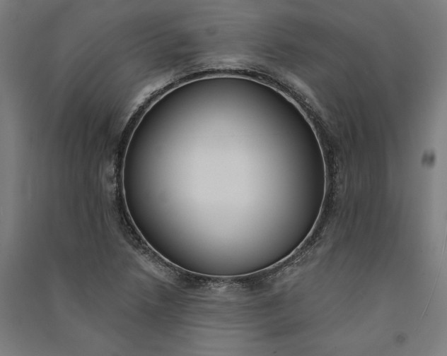 X0000091071218200708201402