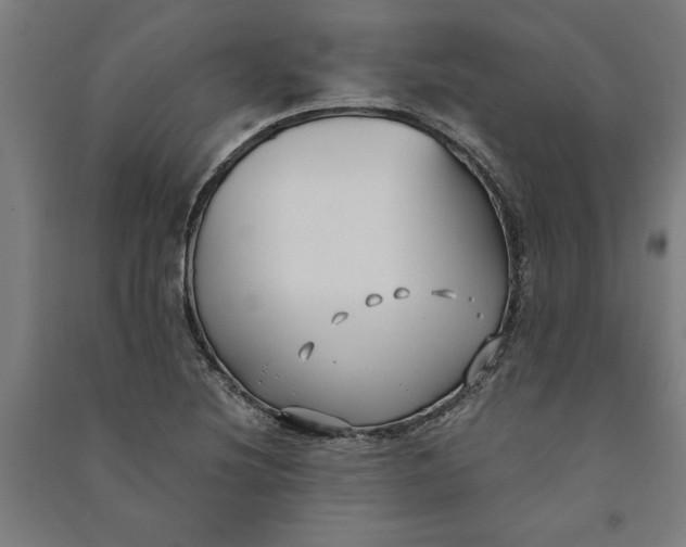 X0000091071220200708201402