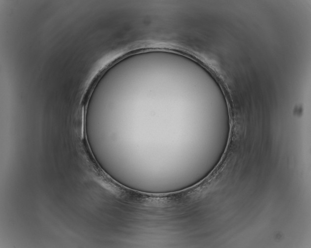 X0000091071223200708201402